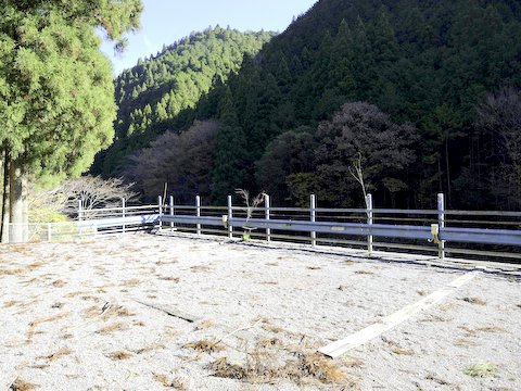 テントサイト 大