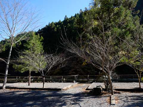 テントサイト 小4x5m 定員:5名